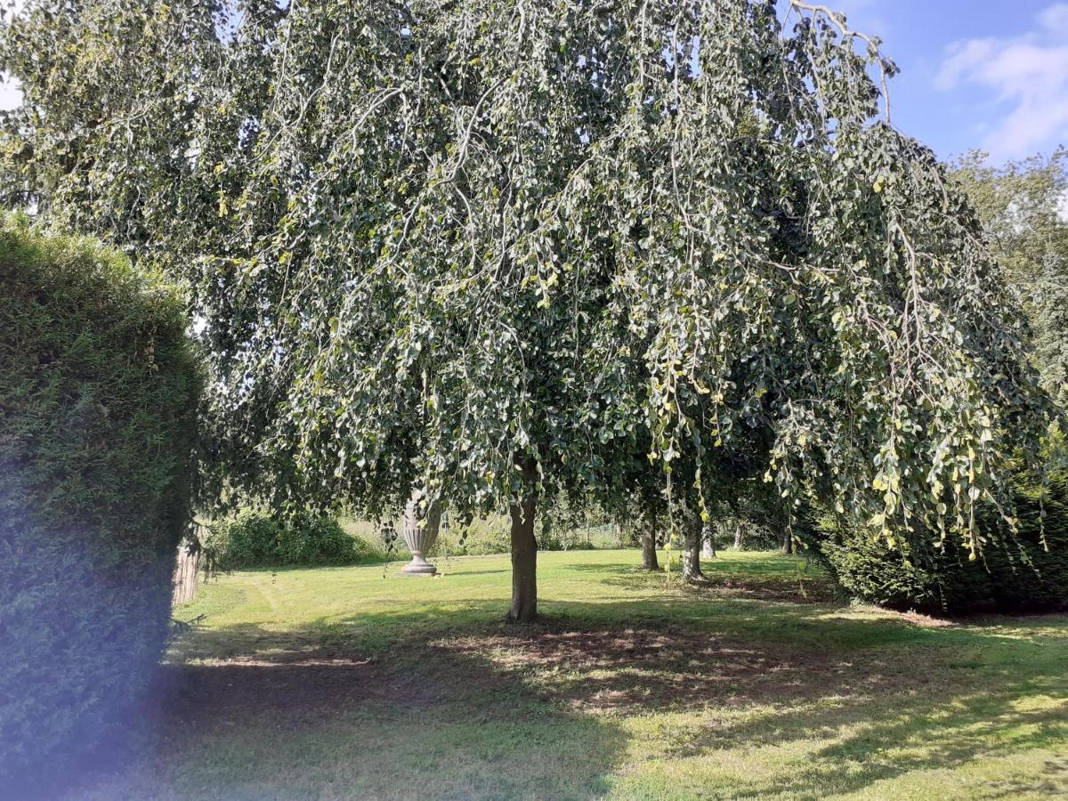 Bed and Breakfast Manoir De Camblain Exterior foto